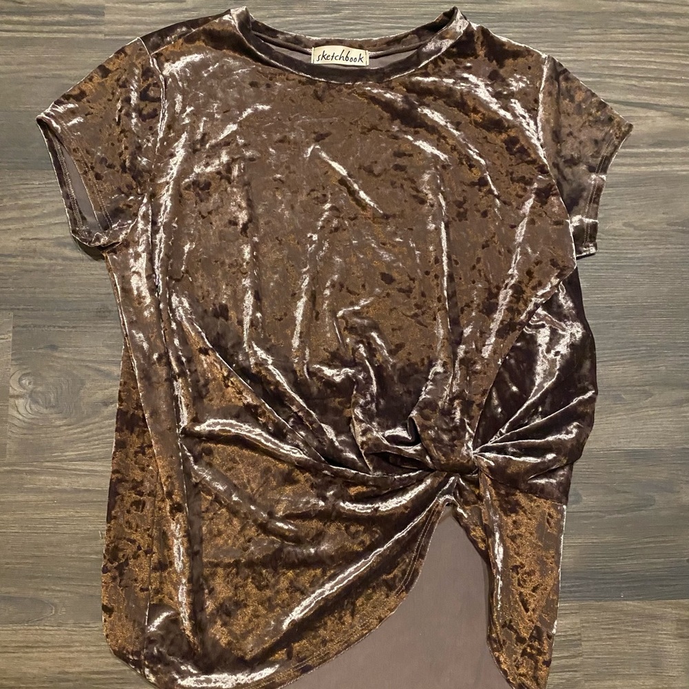 Sketchbook Velvet Blouse